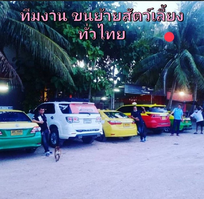 บางส่วนของทีมงาน พร้อมรับส่ง สัตว์เลี้ยง ทั่วไทย